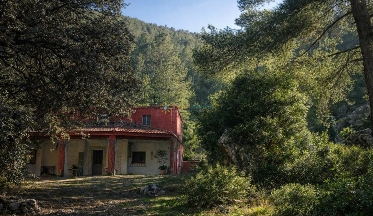 Casa roja en el bosque