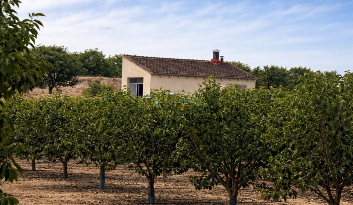Casa rural entre huerto de árboles