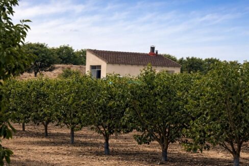 Casa rural entre huerto de árboles