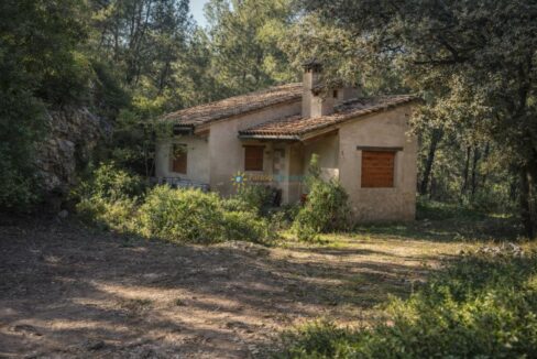 Casa rústica en el bosque