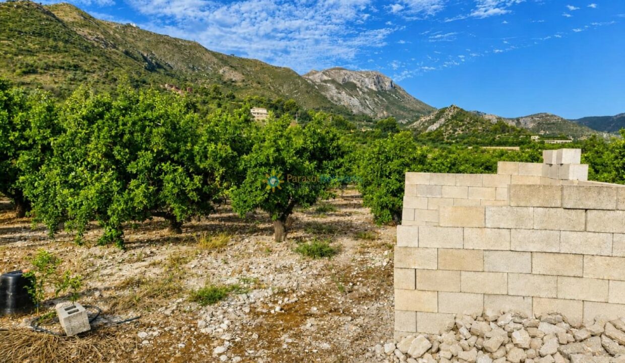 ChatGPT Image 11 ago 2026, 13_54_42