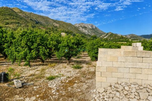 ChatGPT Image 11 ago 2026, 13_54_42