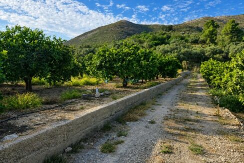 ChatGPT Image 11 ago 2026, 13_55_28