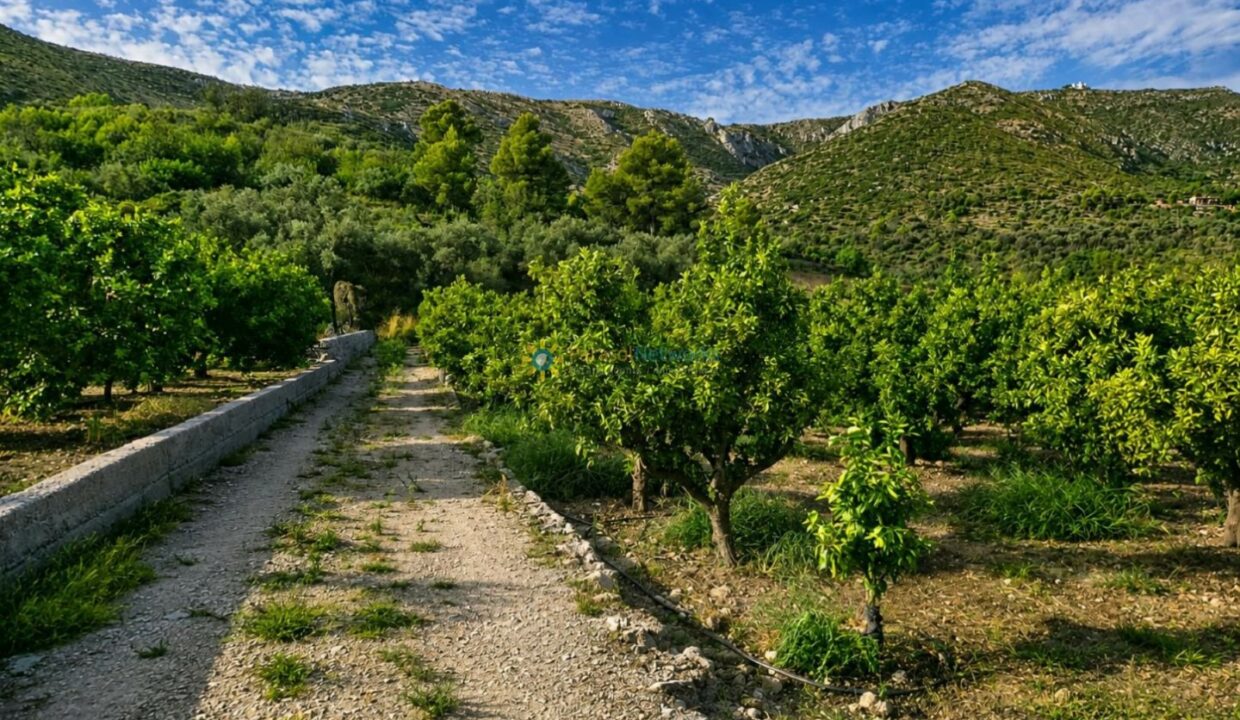 ChatGPT Image 11 ago 2026, 13_57_21