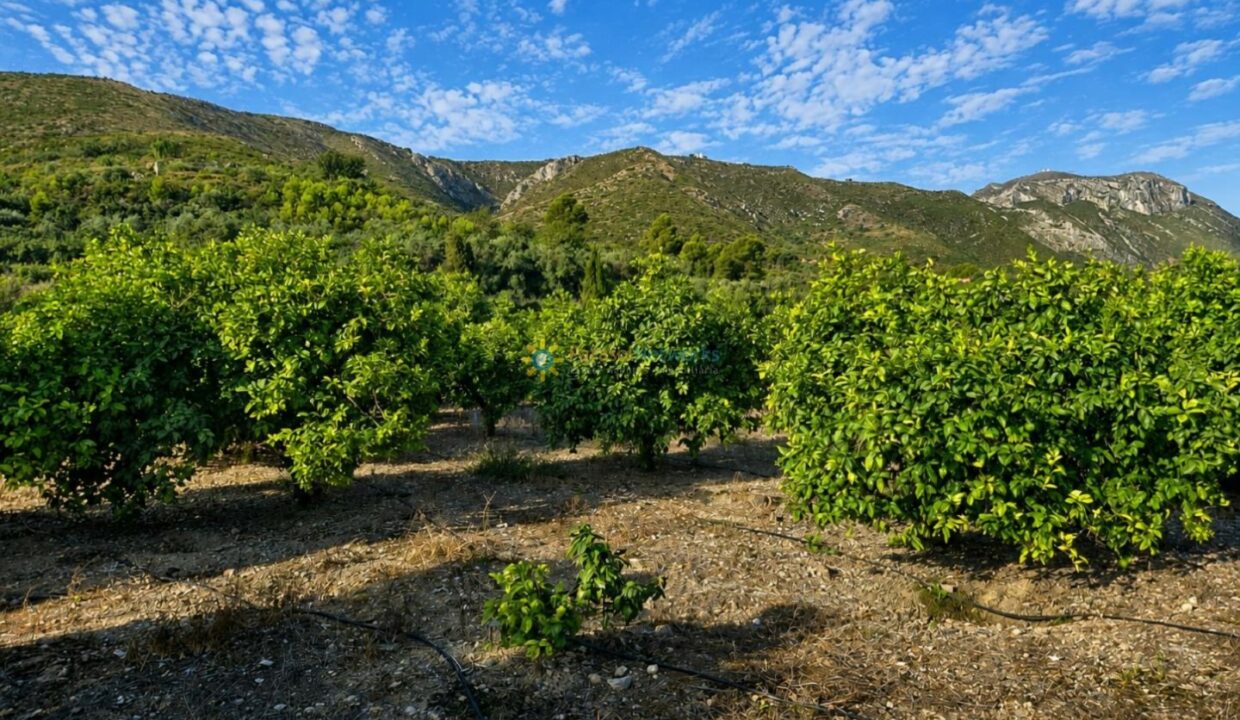 ChatGPT Image 11 ago 2026, 13_58_06