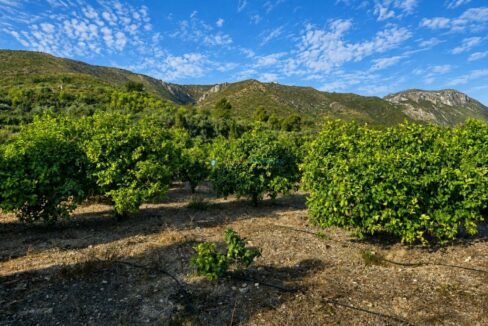 ChatGPT Image 11 ago 2026, 13_58_06