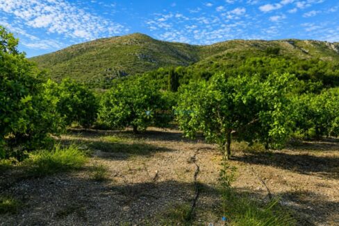 ChatGPT Image 11 ago 2026, 13_58_49