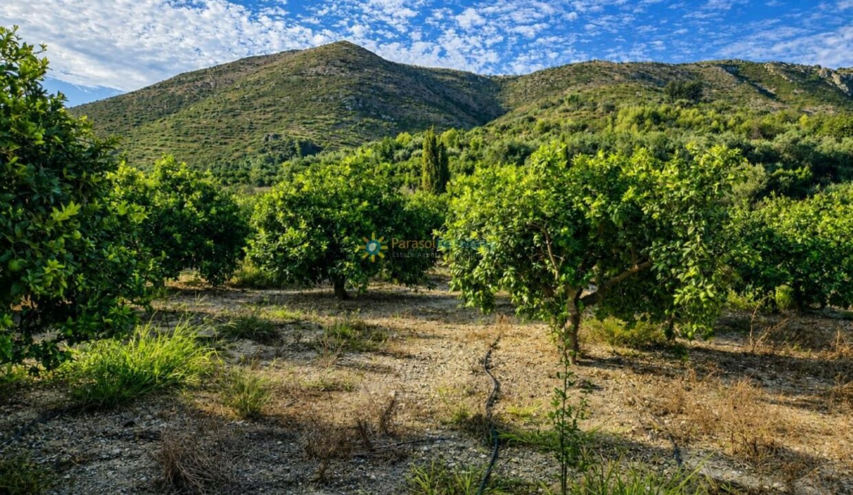 ChatGPT Image 11 ago 2026, 14_01_11