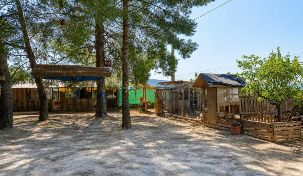 ChatGPT Image 14 jul 2026, 12_52_31
