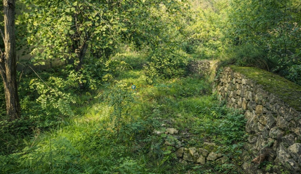 ChatGPT Image 16 abr 2026, 12_16_12