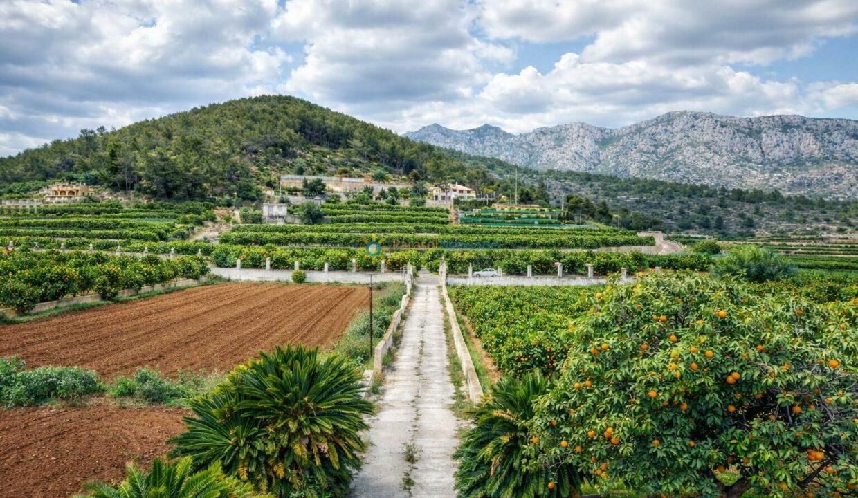 ChatGPT Image 16 feb 2026, 12_50_34