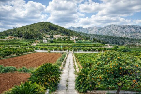 ChatGPT Image 16 feb 2026, 12_50_34