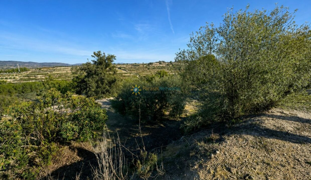 ChatGPT Image 17 ago 2026, 12_10_16