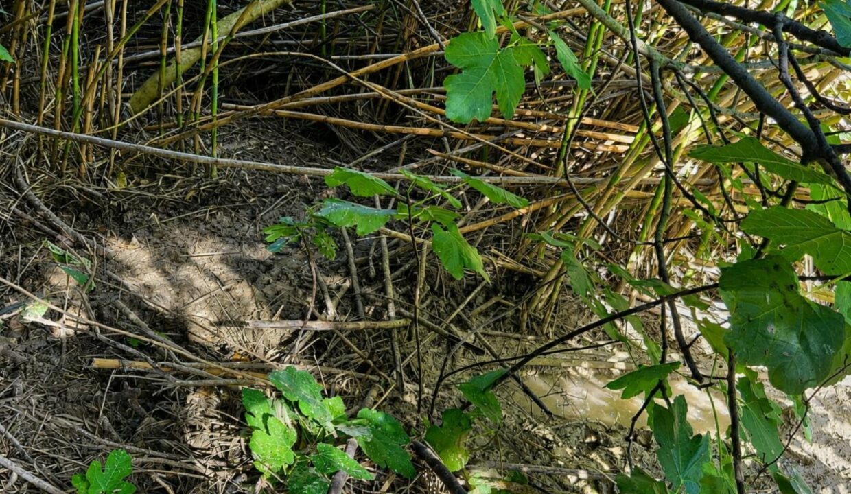 ChatGPT Image 17 ago 2026, 13_34_52