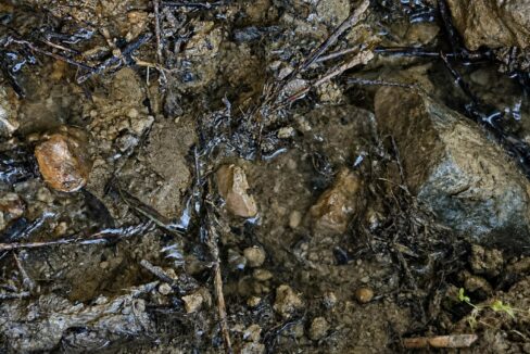 ChatGPT Image 17 ago 2026, 13_36_51