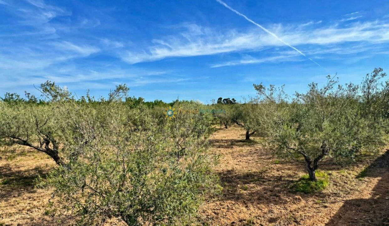 ChatGPT Image 21 abr 2026, 12_01_44