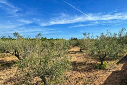 ChatGPT Image 21 abr 2026, 12_01_44