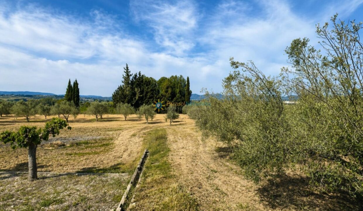 ChatGPT Image 21 abr 2026, 12_03_13