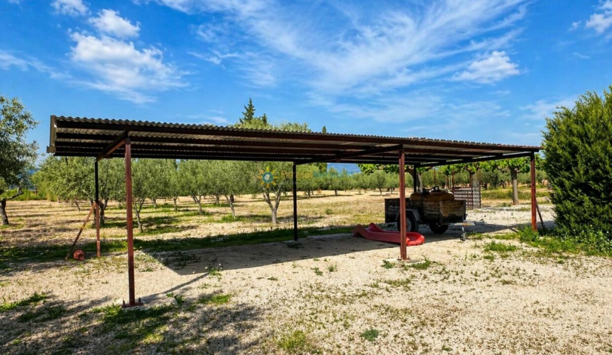 ChatGPT Image 21 abr 2026, 12_16_11