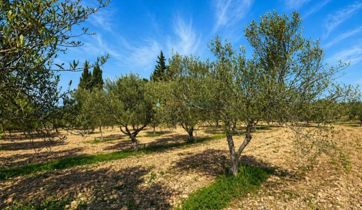 ChatGPT Image 21 abr 2026, 12_19_28