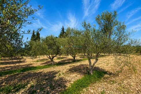 ChatGPT Image 21 abr 2026, 12_19_28