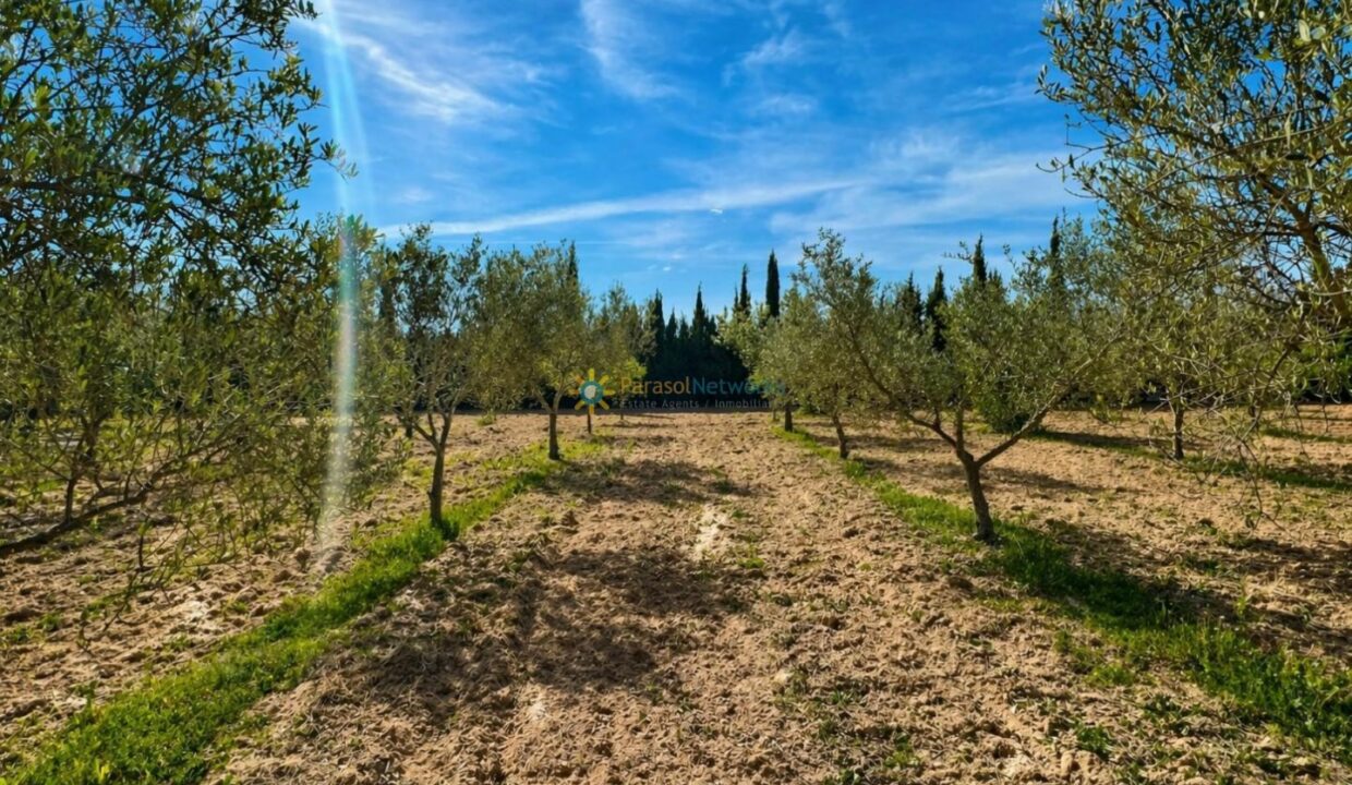 ChatGPT Image 21 abr 2026, 12_21_18