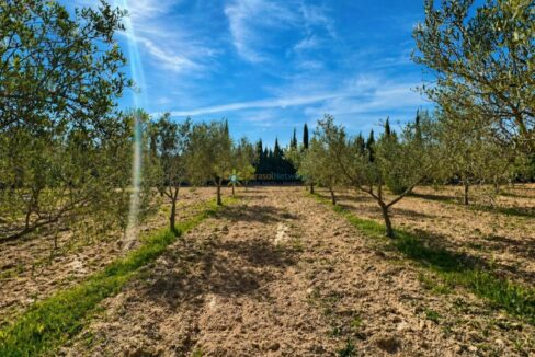 ChatGPT Image 21 abr 2026, 12_21_18