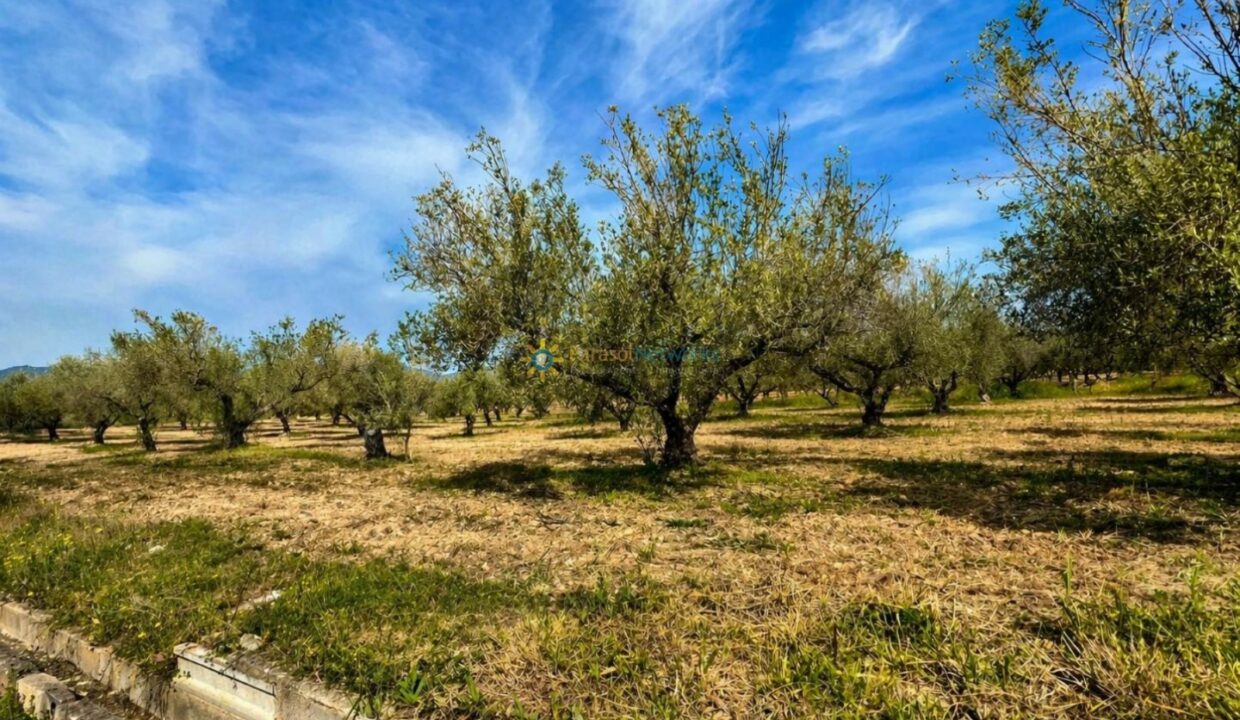 ChatGPT Image 21 abr 2026, 12_23_32