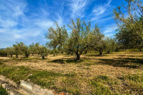 ChatGPT Image 21 abr 2026, 12_23_32