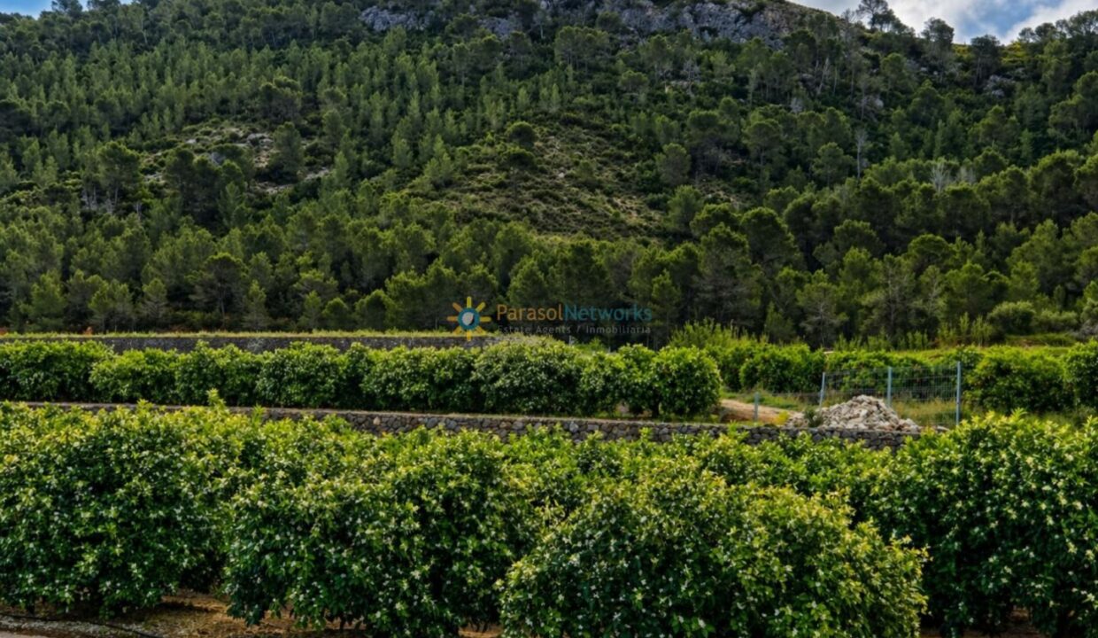 ChatGPT Image 21 abr 2026, 19_17_31