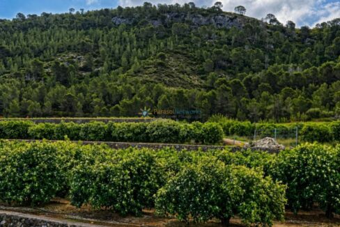 ChatGPT Image 21 abr 2026, 19_17_31