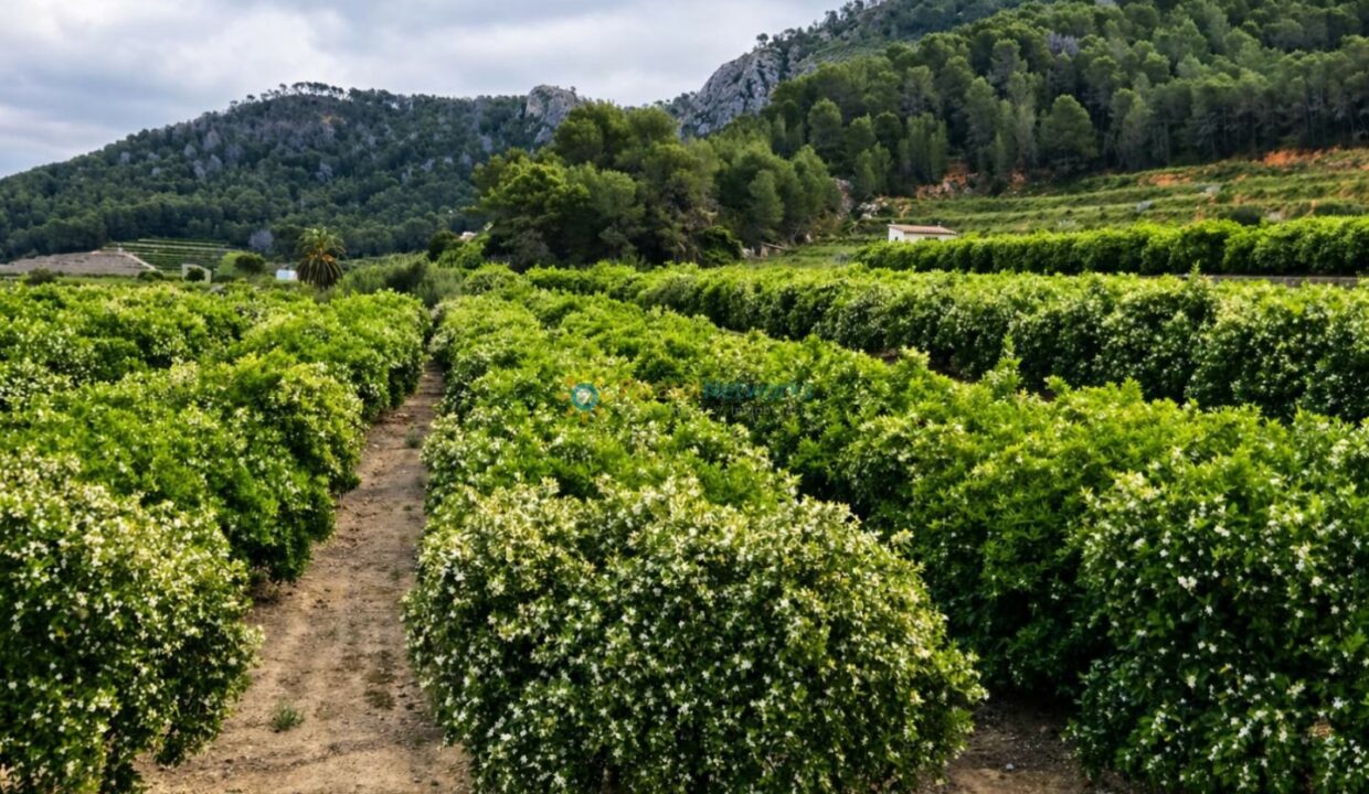 ChatGPT Image 21 abr 2026, 19_18_37