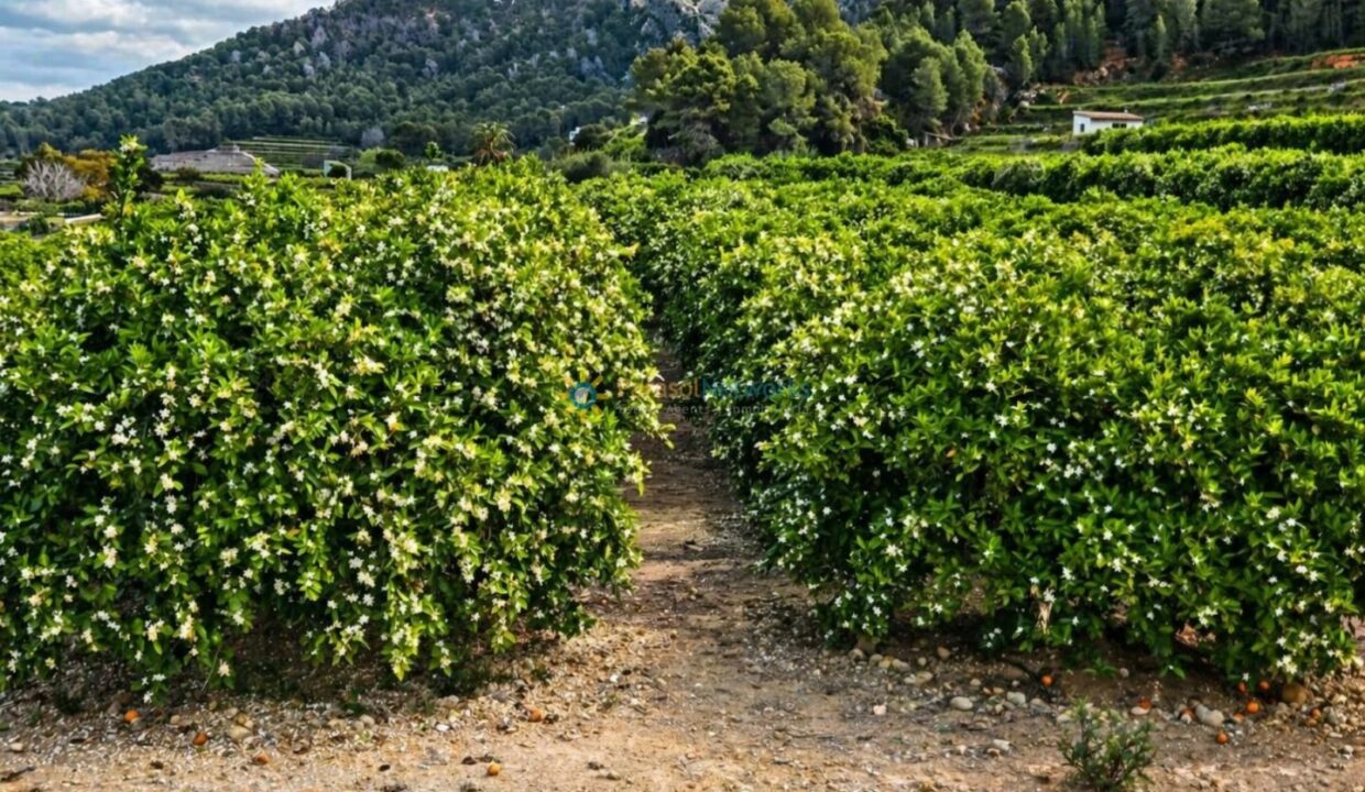 ChatGPT Image 21 abr 2026, 19_23_04