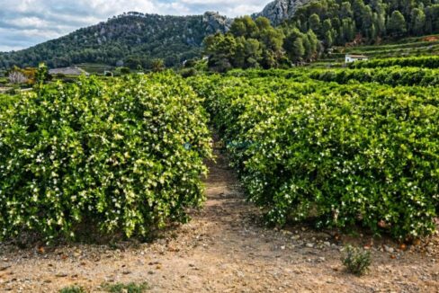 ChatGPT Image 21 abr 2026, 19_23_04