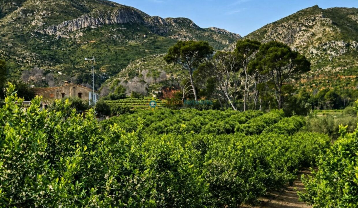 ChatGPT Image 21 abr 2026, 19_50_45