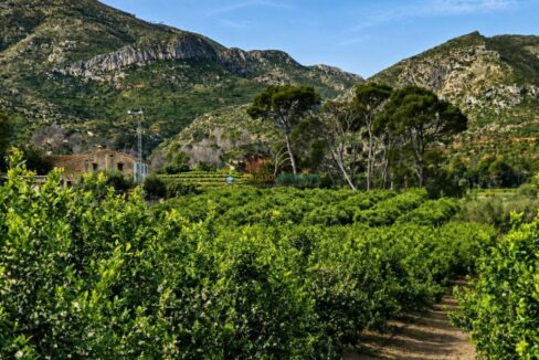 ChatGPT Image 21 abr 2026, 19_50_45