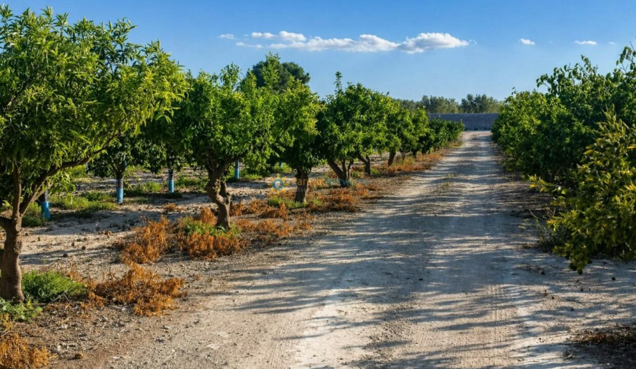 ChatGPT Image 24 abr 2026, 12_19_56