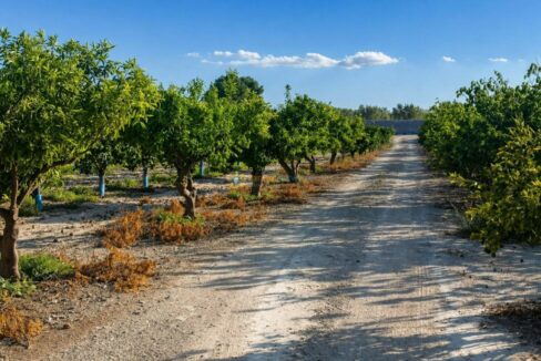 ChatGPT Image 24 abr 2026, 12_19_56