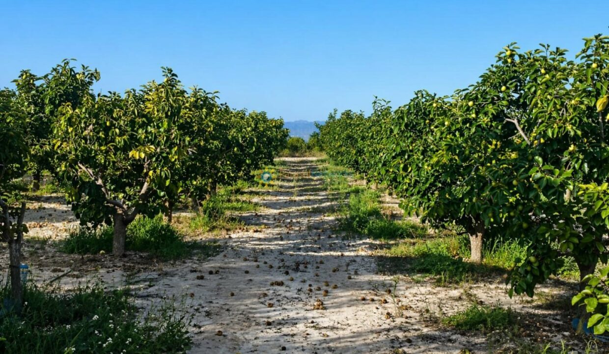 ChatGPT Image 24 abr 2026, 12_20_28