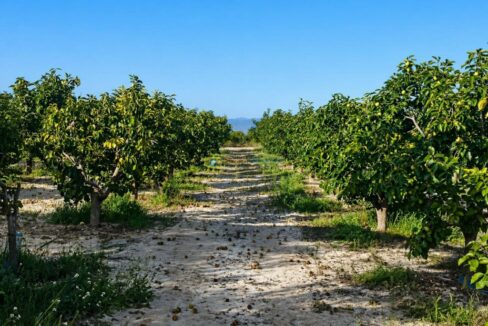 ChatGPT Image 24 abr 2026, 12_20_28