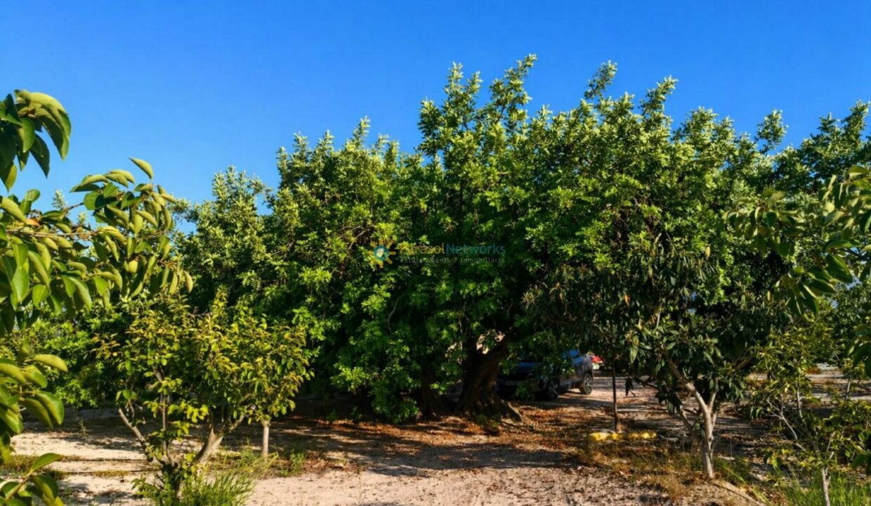 ChatGPT Image 24 abr 2026, 12_51_40