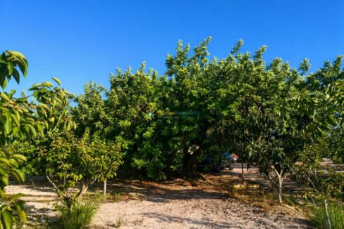 ChatGPT Image 24 abr 2026, 12_51_40