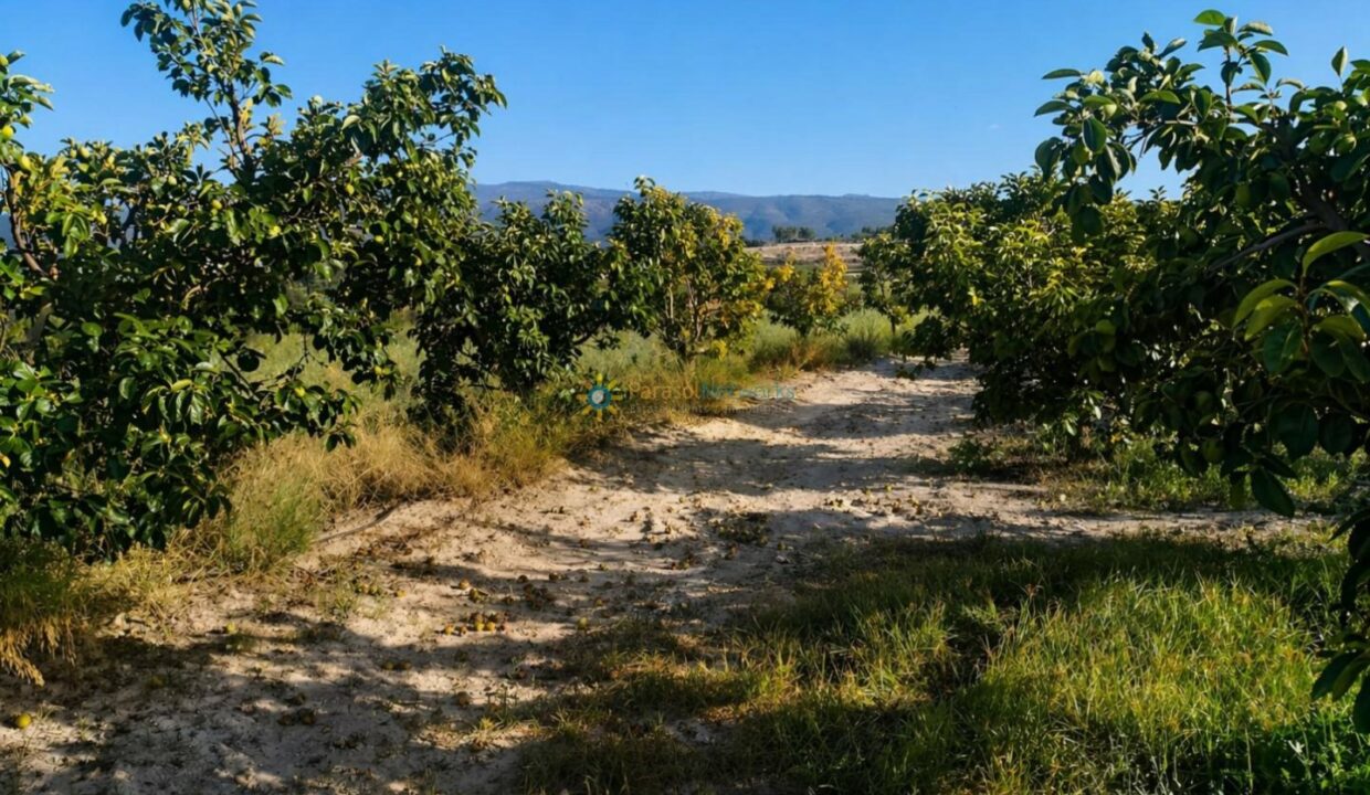 ChatGPT Image 24 abr 2026, 17_05_06