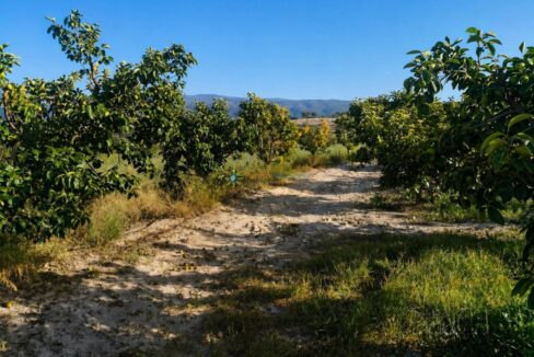 ChatGPT Image 24 abr 2026, 17_05_06