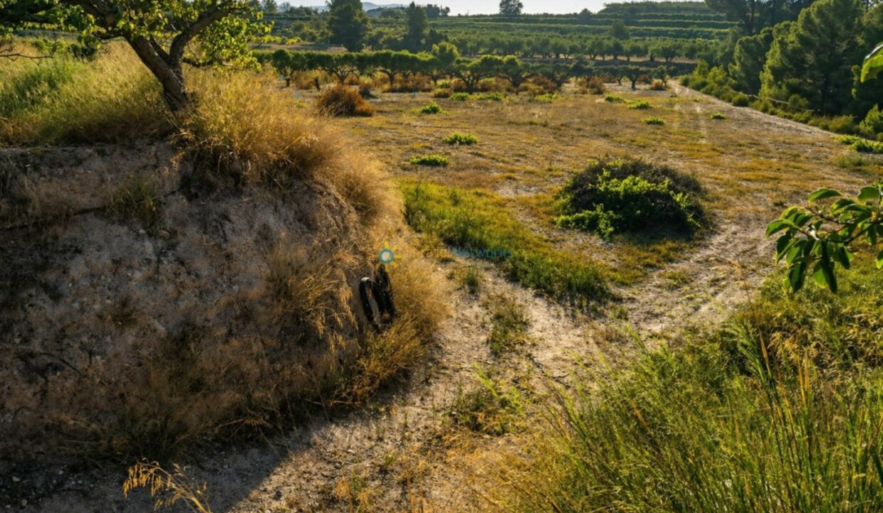 ChatGPT Image 24 abr 2026, 17_06_02