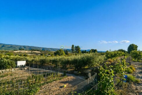 ChatGPT Image 24 abr 2026, 17_45_23