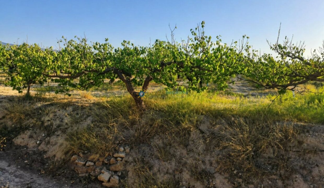 ChatGPT Image 24 abr 2026, 17_47_39