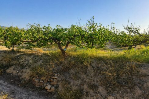 ChatGPT Image 24 abr 2026, 17_47_39