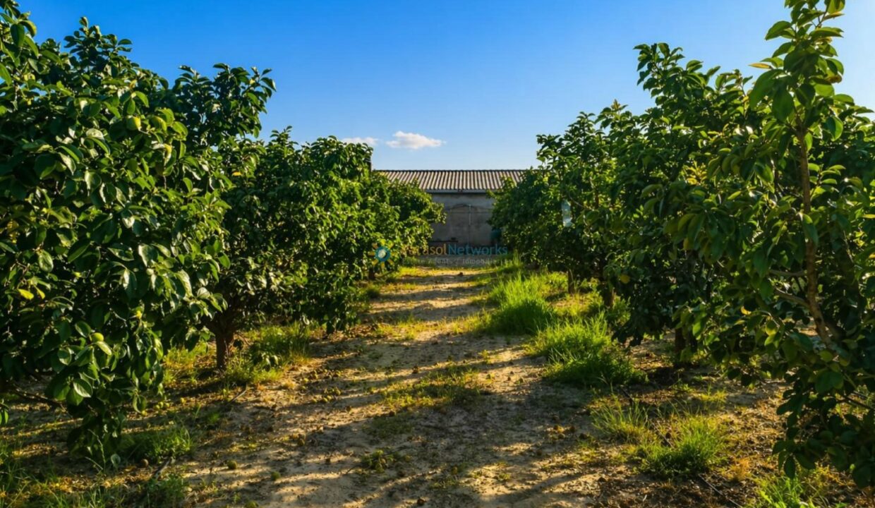 ChatGPT Image 24 abr 2026, 17_49_20