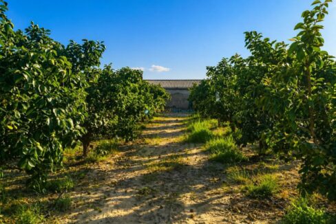 ChatGPT Image 24 abr 2026, 17_49_20